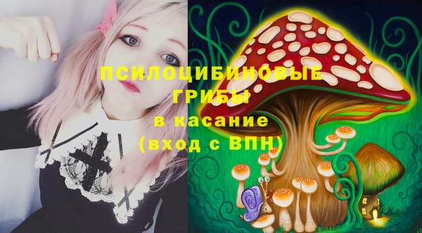 крисы Алзамай