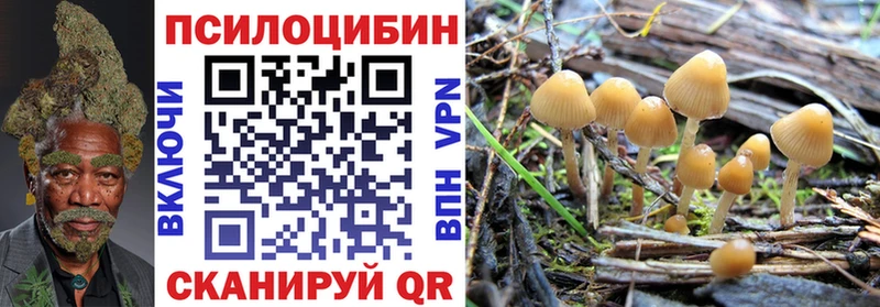 Галлюциногенные грибы ЛСД  наркота  mega как войти  Кола 